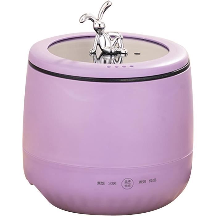 Cuiseur à Riz Électrique Compact 1,8L - Pour 2 Personnes, Facile à Nettoyer Et Polyvalent