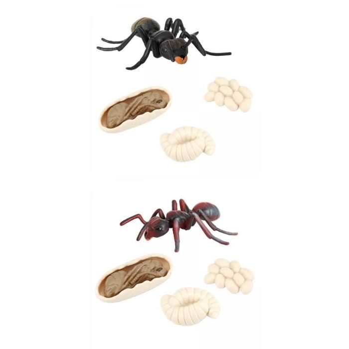 Plateau Cycle De Vie Montessori En Bois - Kit Éducatif Animaux Et Insectes Pour Enfants