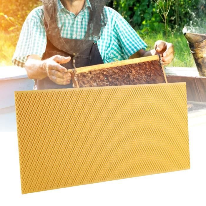 VINGVO Fondation d'apiculture Cadre d'apiculture en plastique avec ...