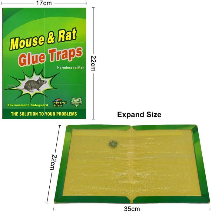 Piège à Souris Adhésif - Lot De 4 Plaques Glue - Efficace Et Sans Poison - Pour Cuisine, Garage, Sous-sol