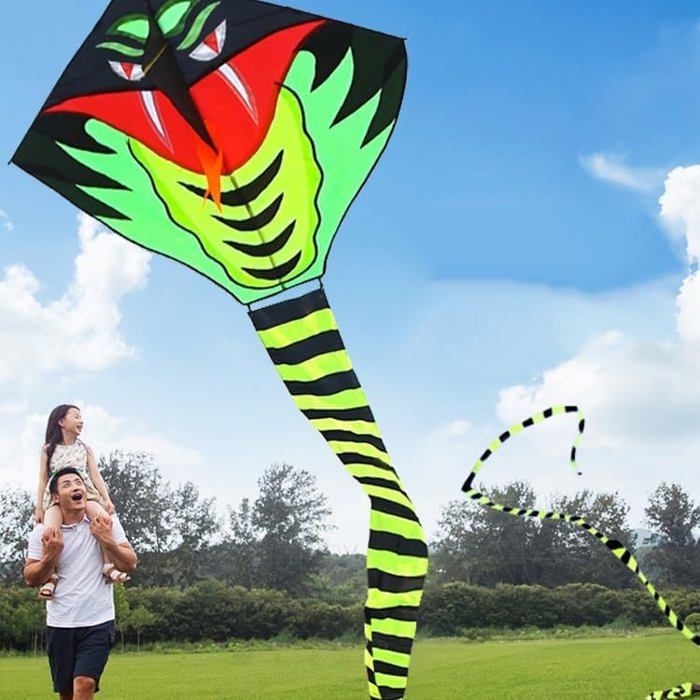 Cerf-Volant Delta Arc-en-Ciel 73x65 Cm – Toile Polyester, Tiges Fibre De Verre, 8 Queues Colorées 105 Cm – Enfant Adulte, Apprentissage Et Plaisir
