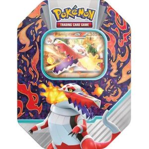 Grand coffre de rangement pour cartes Pokémon Boîte de rangement