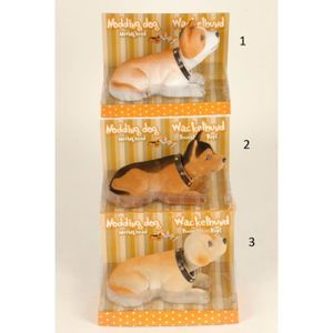 Chien de plage qui remue la t/ête Voiture Plage arri/ère 20x10Cm Mod/èle 4