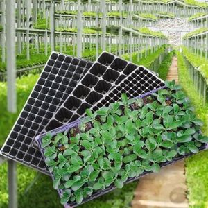 Lunartec Dispositif d/éclairage LED solaire 360/° pour plantes