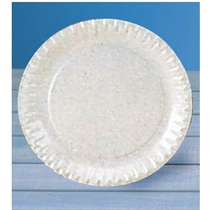 ASSIETTE CARTON X100 BLANC