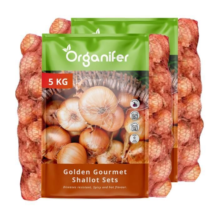 Bulbe A Planter - Oignon A Planter - Organifer - Plantes DÉchalotes Golden Gourmet 14/21 - 10 Kg