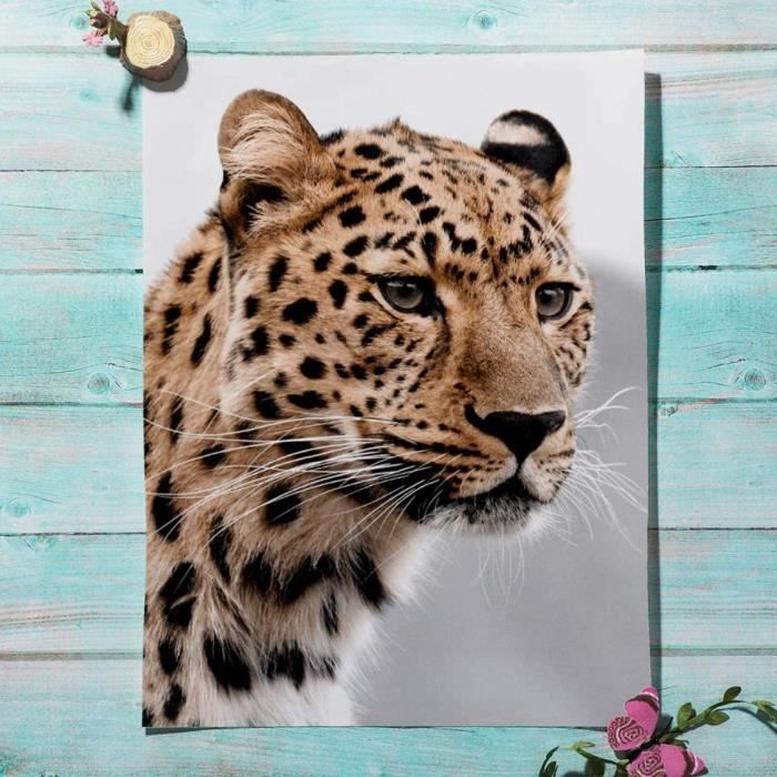 Maroc Desert Lama Leopard Citation Nordique Affiches Et Impressions Ic Mur Art Toile Peinture Avec Cadre x30cm 9818 Cdiscount Maison