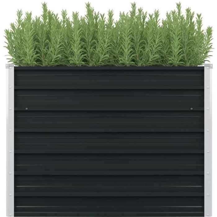 Jardinière Extérieur Bac à fleurs ou plantes Décoration de Jardin surélevée Anthracite 100x100x77 cm Acier galvanisé