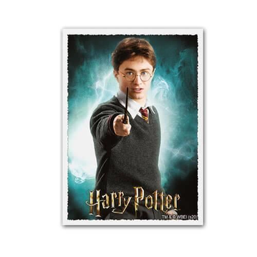 Dragon Shield Matte Art Card Sleeves - Coat Of Arms Lane Thunderhoof Design, 100 Count