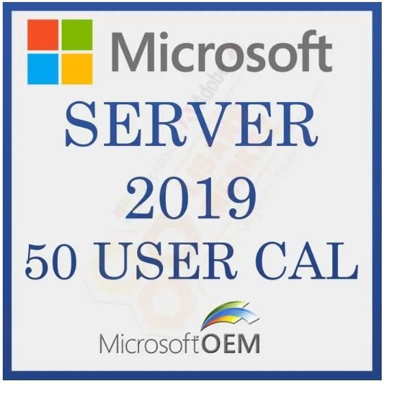 Microsoft Server 2019 User 50 CAL