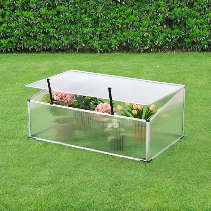 Mini Serre Bois Serre De Jardin Lendo Online - Épicéa, Toit Polycarbonate - 60x49x97,5cm - Intérieur/Extérieur Châssis Polycarbonate