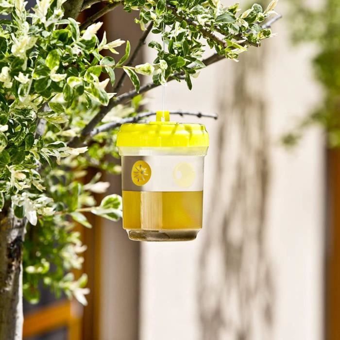 Piège De Guêpe Catcher D'abeilles Pièges Catcher De Bouteille — free download