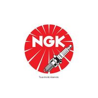 NGK - Bougie d'allumage - Iridium CR9EHI-9 [6419]