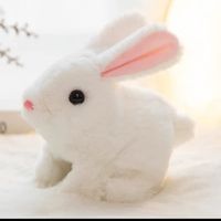 Bunny Toys Jouets éducatifs interactifs Les lapins peuvent marcher et parler, lapin en peluche de Pâques, jouets éducatifs pour N°1