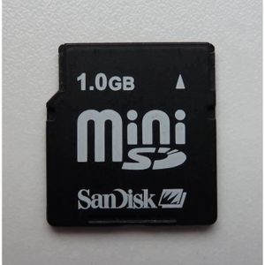 CARTE MÉMOIRE SanDisk 1 Go Mini SD Secure Digital Carte Mémoire 