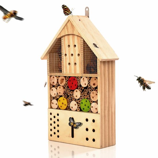 Kit Exploration Insectes HA BIN 10-en-1 - Filet, Loupe, Boîte, Boussole, Pour Enfants, Jeux Extérieurs