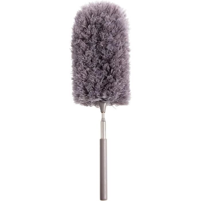 Plumeau Microfibre 2 En 1 Avec 3 Têtes Rechange | Pour Meubles, Voiture, Électronique - Longueur 21-25cm
