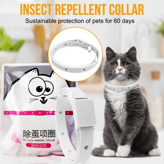 Nouveau Collier Anti Puces Pour Chat Anti Moustique Anti Poux Nylons Fournitures Pour Animaux De Compagnie Produits D Ete Ween1084 Cdiscount Nouveau Collier Anti Puces Pour Chat Anti Moustique Anti Poux Nylons Fournitures Pour Animaux De Compagnie Produits D Ete Ween1084 Cdiscount
