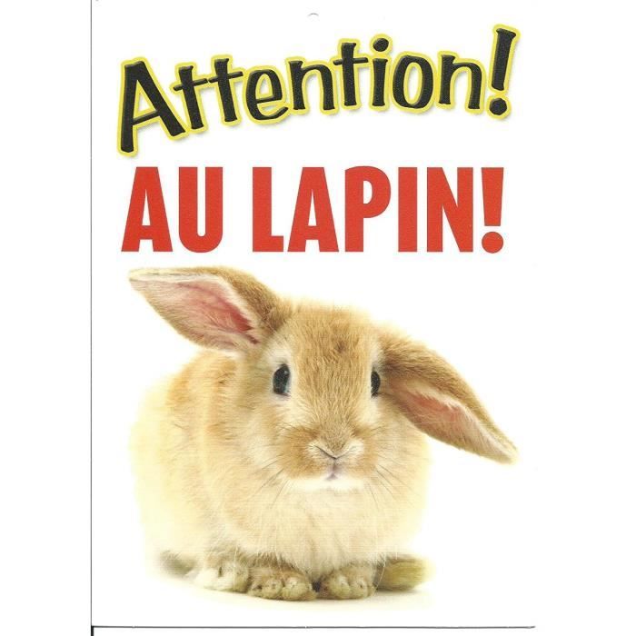 HSSS Pancarte en métal Humoristique pour Lapin en Forme de Lapin