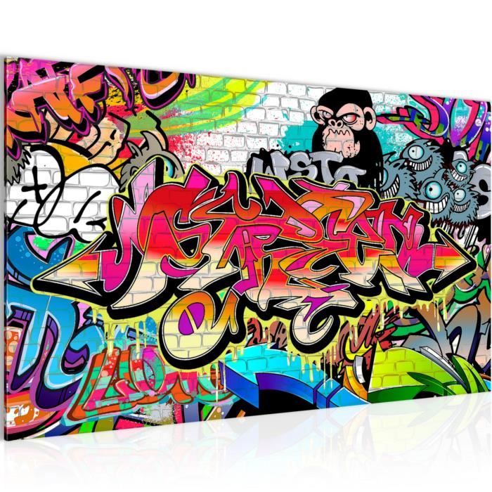 Tableau Toile Photo Graffiti Street Art Decoration Murale 70 X 40