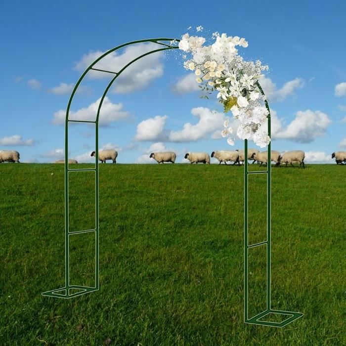 Grande Arche Treillis de Jardin pour Plantes Grimpantes, Pergola de Pelouse Support de Vignes avec Métal Enduit de PE, 200 x 150 x 197 cm
