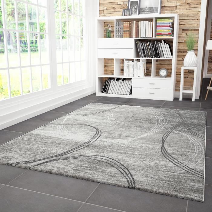 Tapis Salon Tibet Gris Noir 200x290 Cm