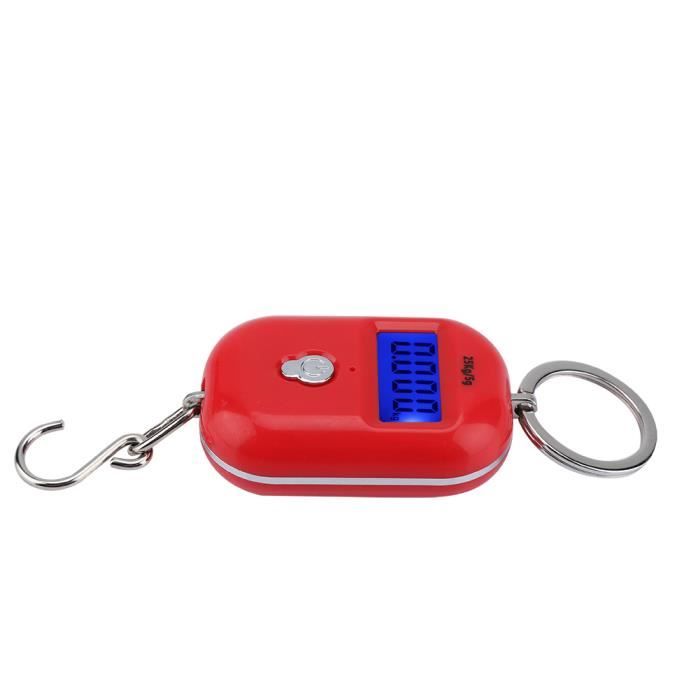 Peson Électronique Portable 50kg - Crochet Digital - LCD Rétroéclairé - Pour Bagages, Pêche, Voyage