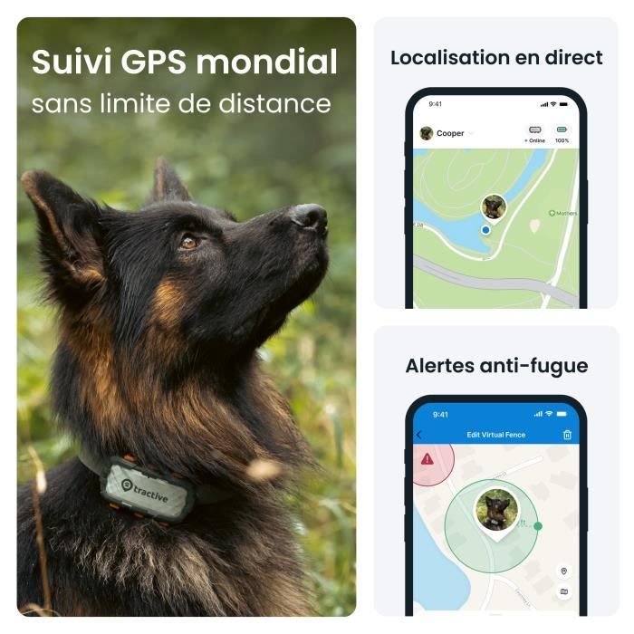 Test & Avis] Tractive Dog 4 : un collier GPS avec suivi d'activité