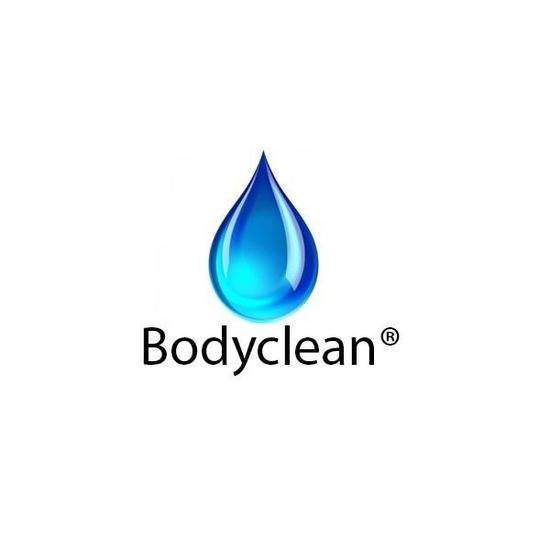 Abattant de toilettes japonais wc automatique full options bodyclean online