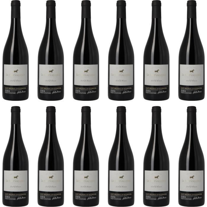 Saint Nicolas de Bourgueil - 75 cl de terroir - Vin rouge AOP du Val de Loire - 100% cabernet franc - Lot de 12 bouteilles