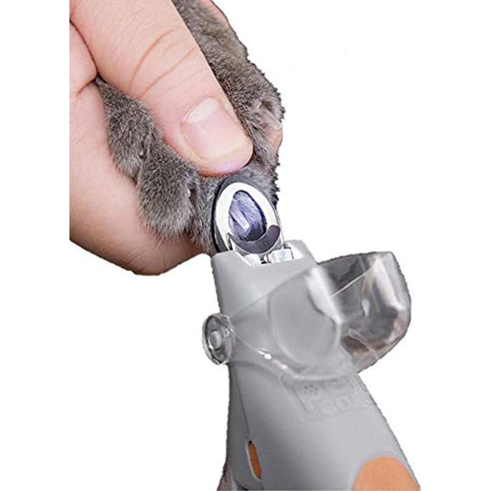 Meilleurs prix pour Coupe-ongles pour chats avec lumière LED