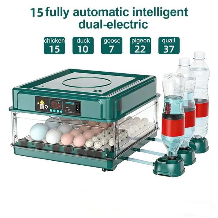 Couveuse Oeuf Automatique 15 oeufs - Incubateur - Retournement Automatique et Contrôle de Température Affichage dHumidité - Vert