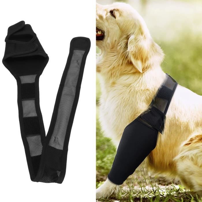 Meilleurs prix pour Protège-coude pour chien soulage l'arthrite réduisant la douleur fournit un soutien protecteur de coude pour chien pour pet 98666