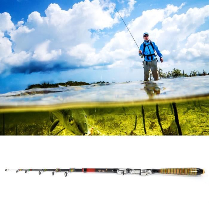 Canne peche telescopique carbone clearance