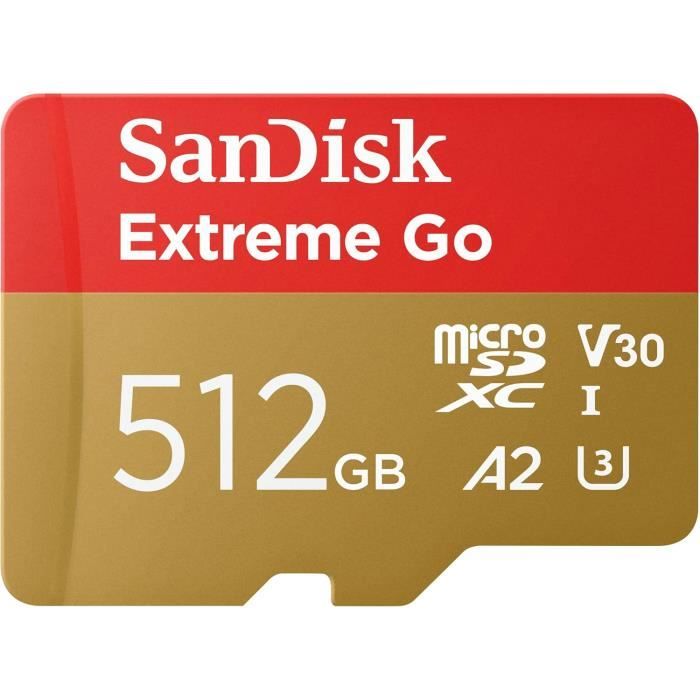 Carte MicroSDXC SANDISK Extreme Go UHS I 250 Mo/ 4K UHD