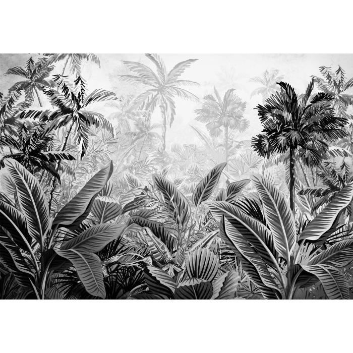 Papier Peint Intissé Forêt Jungle 254x184 cm Amazonia noir et blanc Panoramique Salon Photo Non Tissé Muraux Moderne Trompe l'oeil