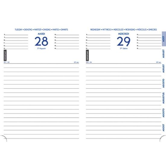 Agenda Forum Funny Pets 12x17 Cm Journalier Aout A Juillet Cdiscount Beaux Arts Et Loisirs Creatifs
