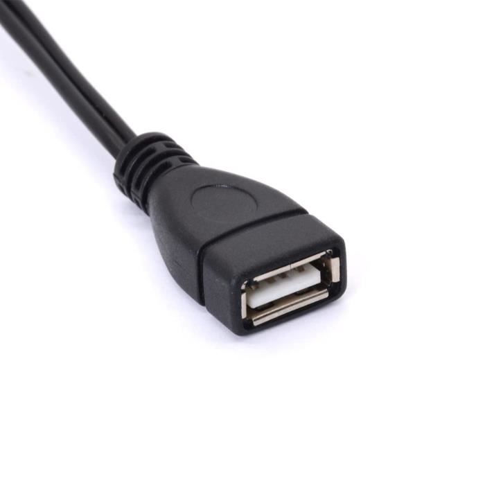 Kingwing® Prise USB 2.0 A mâle à double USB A femelle câble - Cdiscount  Informatique
