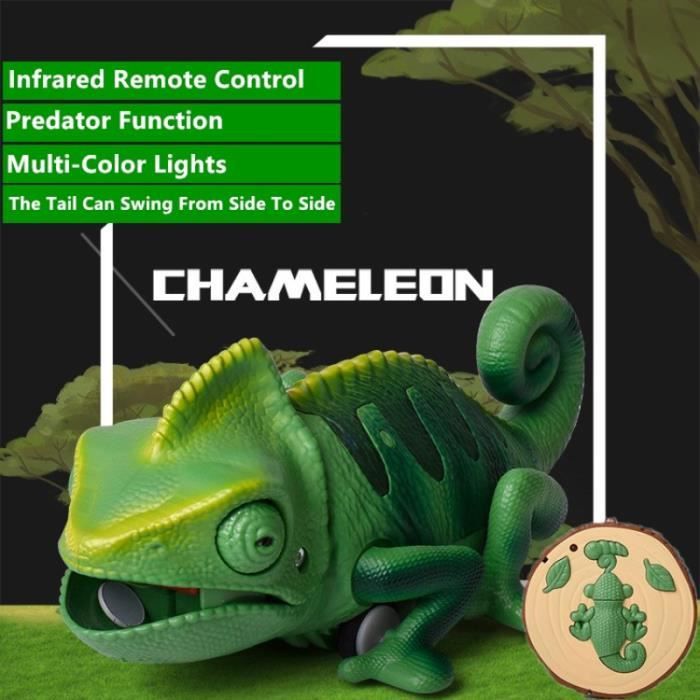 Ycoo By Silverlit - Jouet Robot Caméléon Radiocommandé + 4 Insectes En Metal 28 Cm Attrape Les Insectes Grace A Sa Langue Amz B07bzx Ycoo By Silverlit - Jouet Robot Caméléon Radiocommandé + 4 Insectes En Metal 28 Cm Attrape Les Insectes Grace A Sa Langue Amz B07bzx