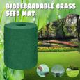 20 × 1000cm herbe tapis de semences engrais jardin pique-nique jardinage pelouse tapis de plantation WYE200617016-2