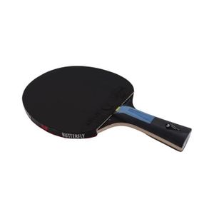 Ensemble de Raquettes de Tennis de Table, 2 Raquettes de Ping-pong à Long Manche avec 3 Balles et un Etui de Transport pour - Sport Ensemble de Raquettes de Tennis de Table, 2 Raquettes de Ping-pong à Long Manche avec 3 Balles et un Etui de Transport pour - Sport
