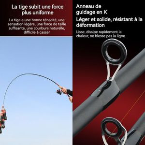3x Pro Carp Canne à Pêche pour Carpes Set 12ft 3,60m 3,50lb Pack de Trois Barre 4260495121734