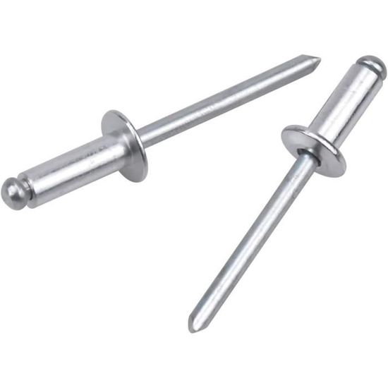 Lot De 100 Rivets DOUBLE CALOTTE En Acier - Taille T7 MOYEN - Pour Bricolage, Neuf