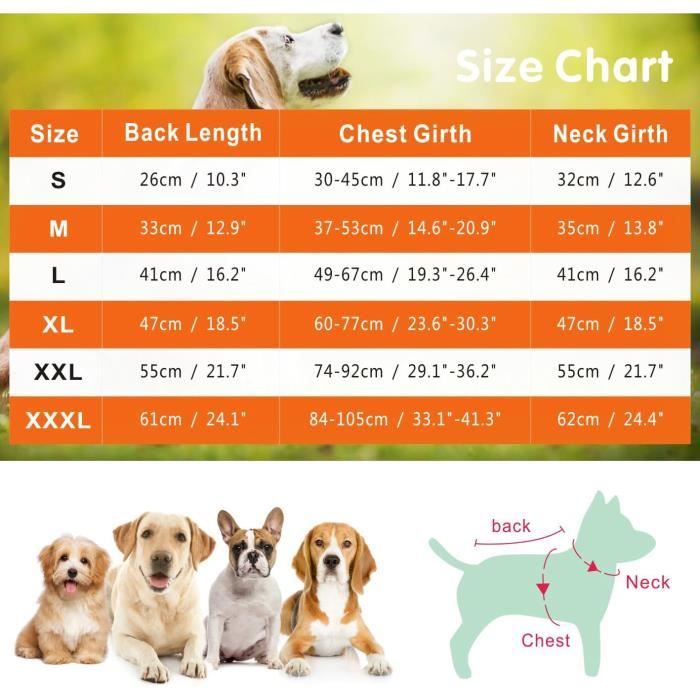 Gilet de refroidissement pour chiens - France