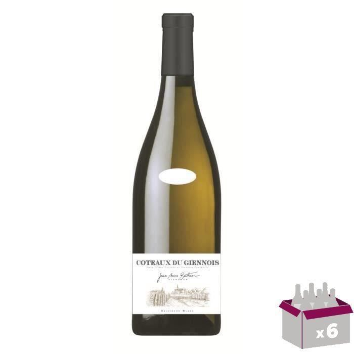 Jean Marie Berthier 2019 Coteaux du Giennois - Vin blanc de Loire x6