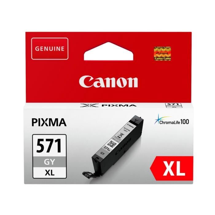 CANON Cartouche dencre CLI-571GY XL grande capacité Gris (CLI571XL)