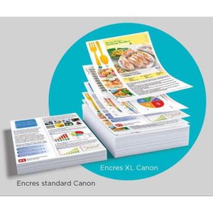 Cartouche D'encre Compatible Pour Canon PGI-570XL / CLI-570XL - Marque TCSink - Neuf