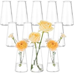 LI-Lot de 5 petits vases en verre transparent pour bourgeons de LI-Lot de 5 petits vases en verre transparent pour bourgeons de