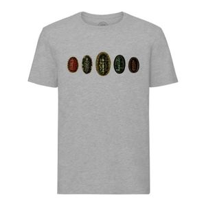 T-SHIRT T-shirt Homme Col Rond Gris Mollusques Multicolores Minimaliste Biologie Illustration Ancienne