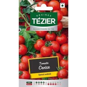 GRAINE - SEMENCE Sachet Graines - Tezier - Tomate Cerise - Sachet l